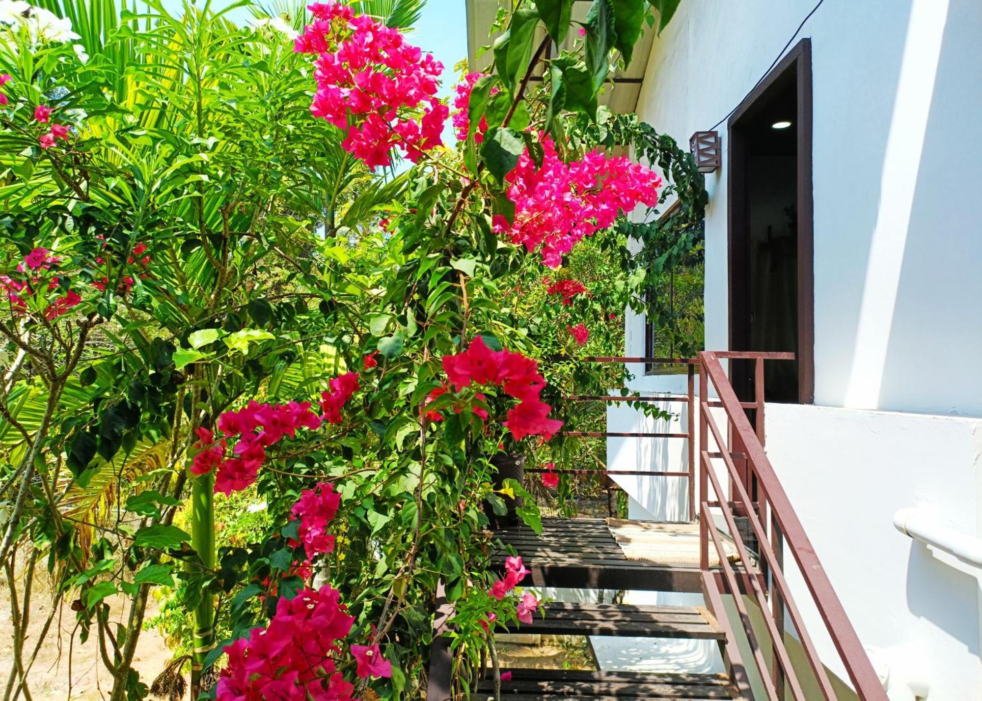 Alma Homestay ماراريكولام المظهر الخارجي الصورة